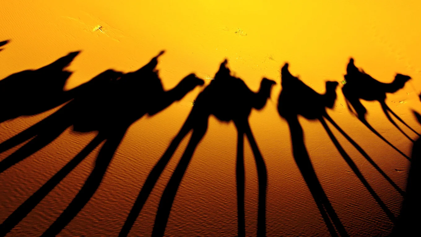 Shadow of camels and riders on sand.